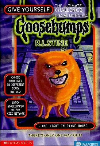 Cover of Give Yourself Goosebumps - One Night in Payne House
