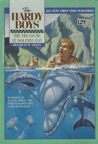 Cover of The Treasure at Dolphin Bay