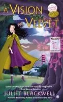 Cover of A Vision in Velvet