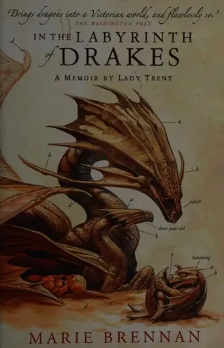 Cover of In the labyrinth of Drakes