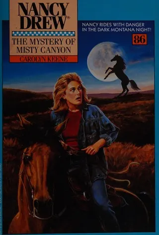 Cover of The Mystery of Misty Canyon