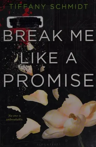 Cover of Break Me Like A Promise