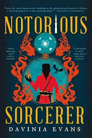 Cover of Notorious Sorcerer
