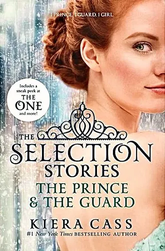 Cover of The Selection Stories