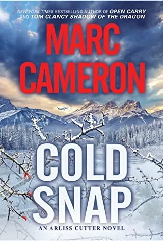 Cover of Cold Snap