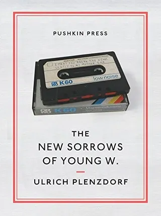Cover of The New Sorrows of Young W.
