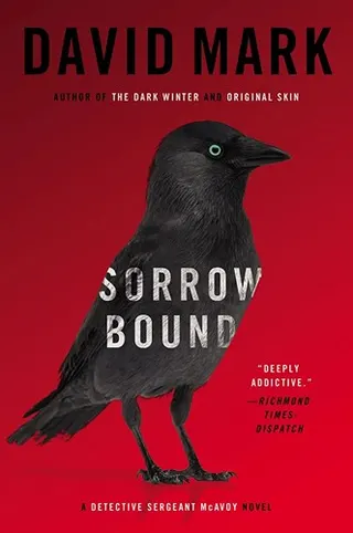 Cover of Sorrow Bound