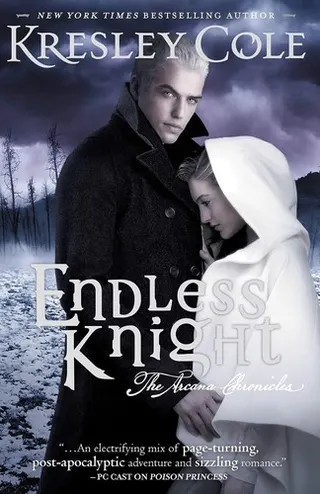 Cover of Endless Knight