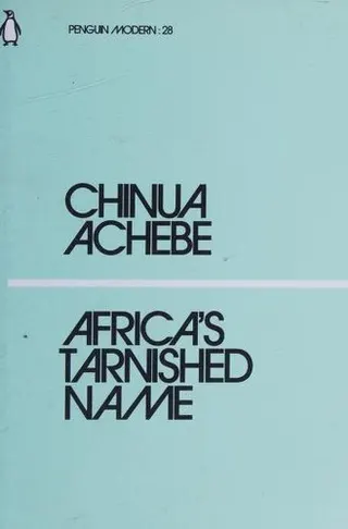 Cover of Africa's Tarnished Name