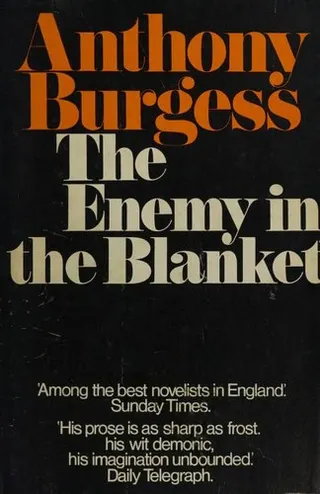 Cover of The enemy in the blanket