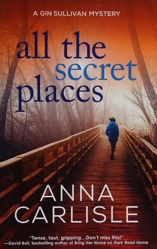Cover of All the Secret Places