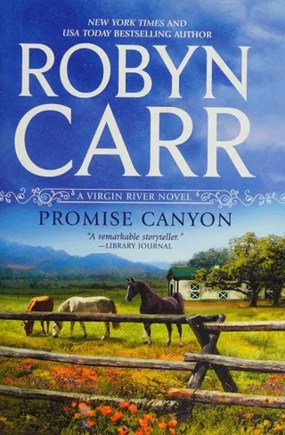 Cover of Promise Canyon