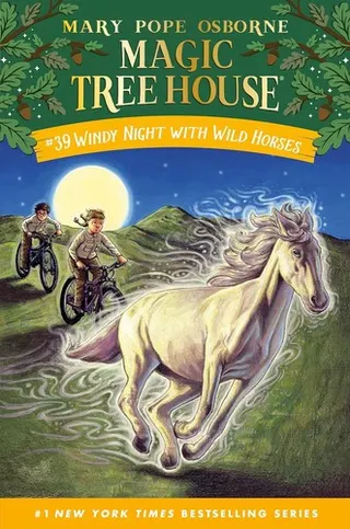 Cover of Windy Night with Wild Horses