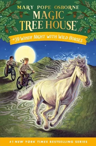 Cover of Windy Night with Wild Horses