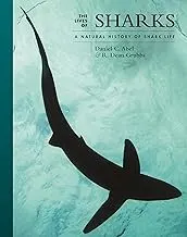Cover of Lives of Sharks