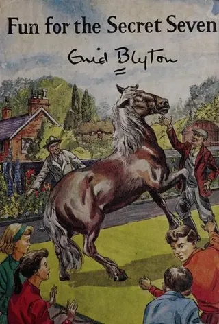 Cover of Fun for the Secret Seven