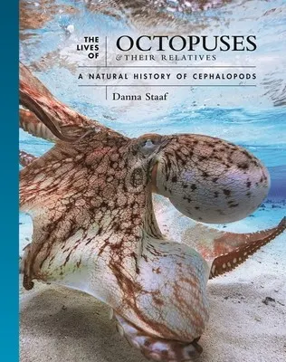 Cover of LIives of Octopuses and Their Relatives