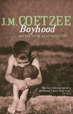 Cover of Boyhood