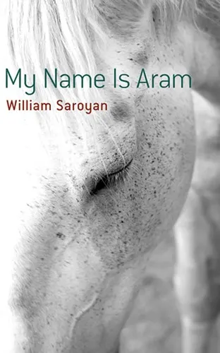 Cover of My Name is Aram