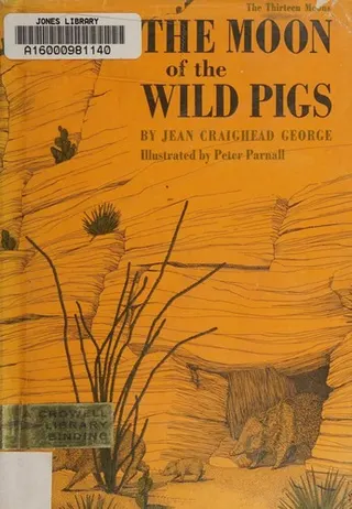 Cover of The moon of the wild pigs