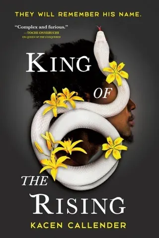 Cover of King of the Rising