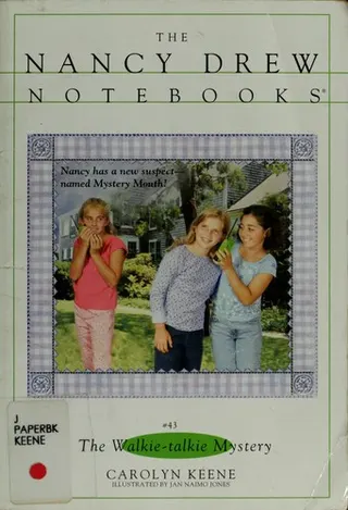 Cover of The walkie-talkie mystery