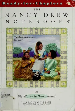 Cover of Big Worry in Wonderland