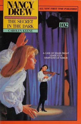 Cover of The Secret in the Dark