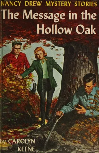 Cover of The message in the hollow oak