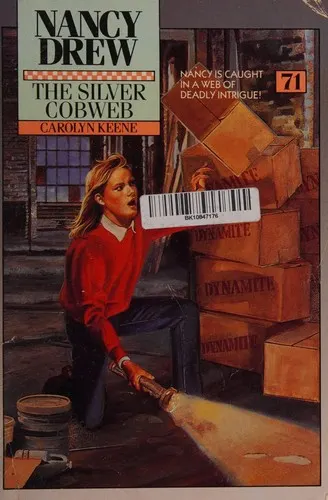 Cover of The silvercobweb