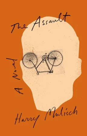 Cover of De aanslag