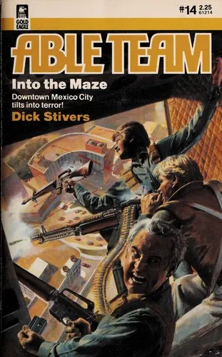 Cover of Into the Maze