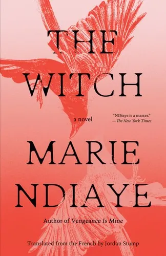 Cover of The Witch