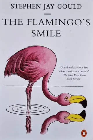 Cover of The flamingo's smile