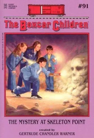Cover of The Mystery at Skeleton Point