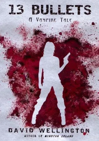 Cover of 13 Bullets