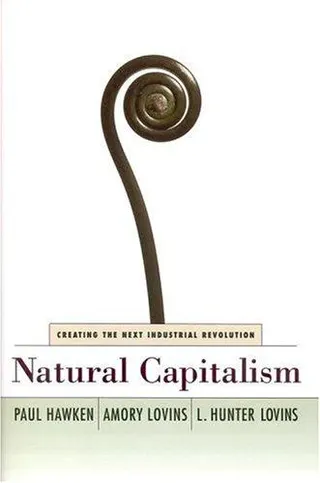 Cover of Natural capitalism