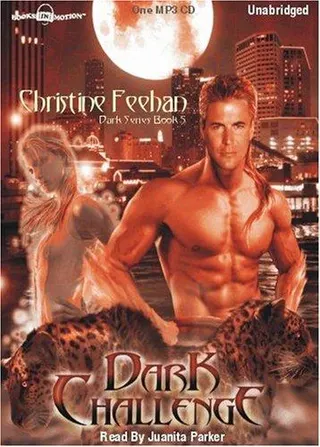 Cover of Dark Challenge