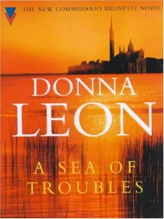 Cover of A Sea of Troubles