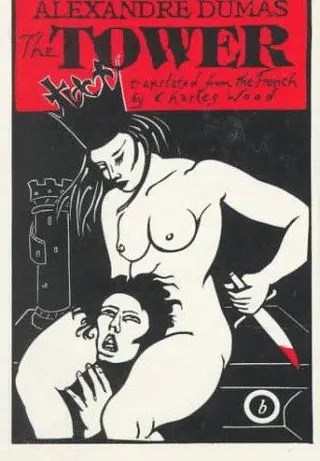 Cover of La tour de Nesle