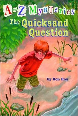 Cover of The quicksand question