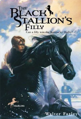 Cover of Le fils de l'étalon noir
