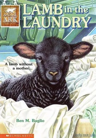 Cover of Lamb in the Laundry