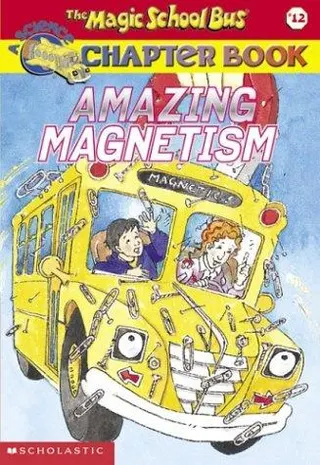Cover of Amazing magnetism