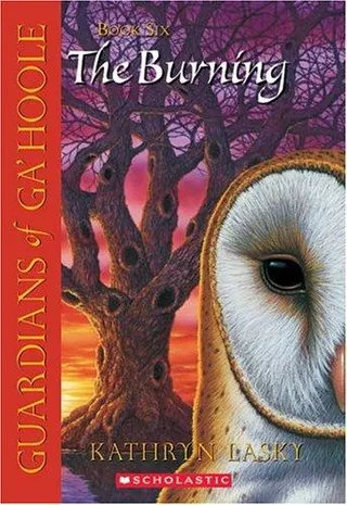Cover of The burning
