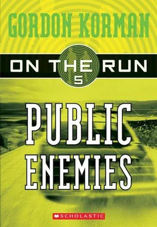 Cover of Public enemies