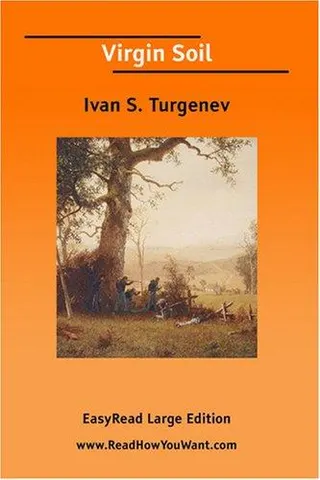 Cover of Novʹ