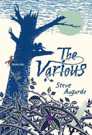 Cover of The Various (The Touchstone Trilogy #1)
