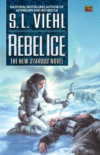 Cover of Rebel Ice