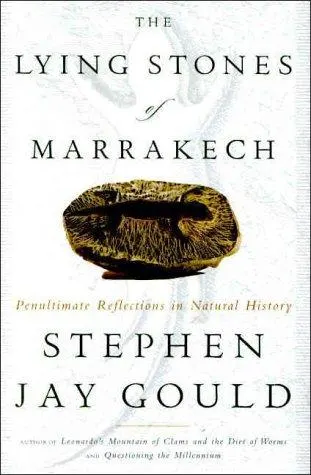 Cover of The lying stones of Marrakech